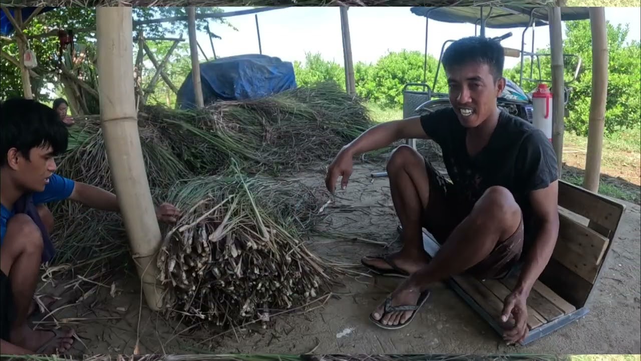 PATUBIG SA KALAMASI