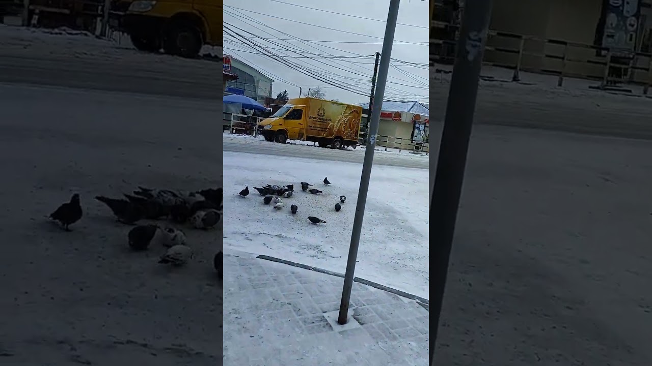 До ринку слизько холодно понамерзало