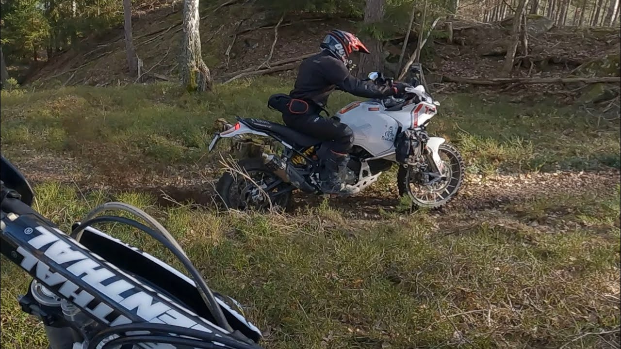 Unexpected Ducati DesertX 950 Spotting on the Trail