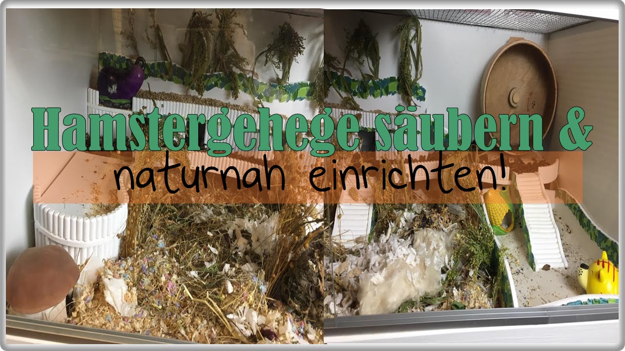 Hamstergehege säubern & Naturnah einrichten || Gehegetour Jolly Mai 2016
