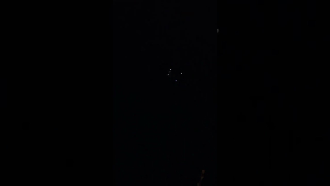 BIRDS 🦅 OUT NIGHT FLYING! ✈️