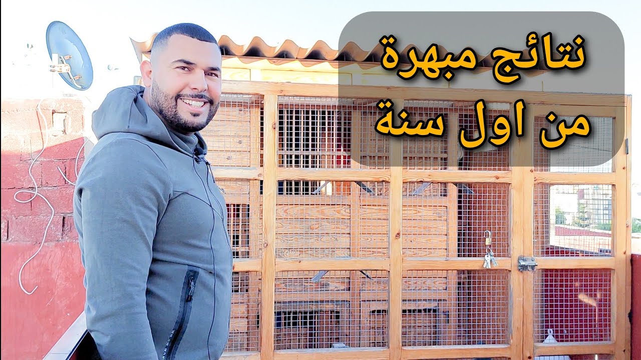 الحمام الزاجل بالمغرب : صاحب  اللوفت العالمي عند الهاوي  عمر حمزاوي  بمدينة الجديدة
