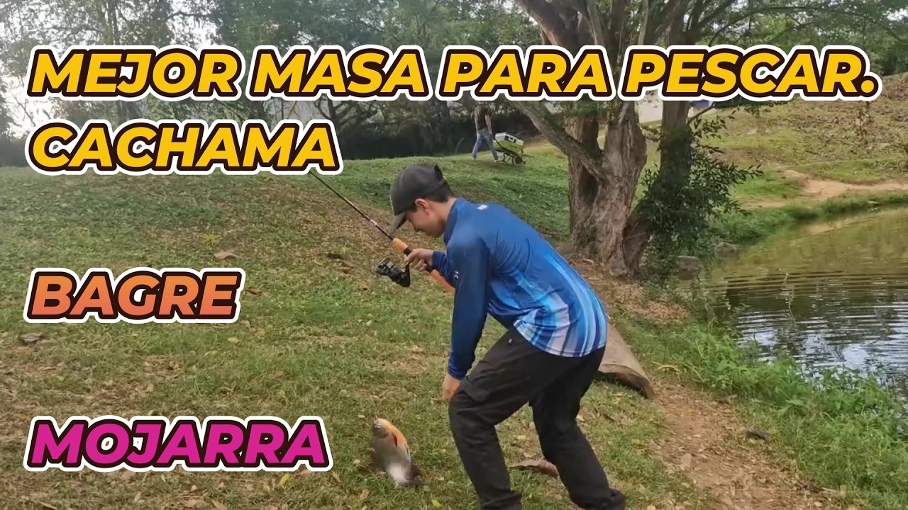 LA MEJOR MASA PARA BAGRE,CACHAMA Y MOJARRA