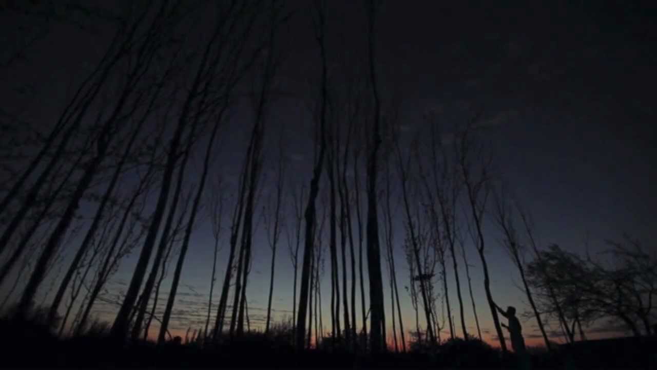 Will Cookson - The Night