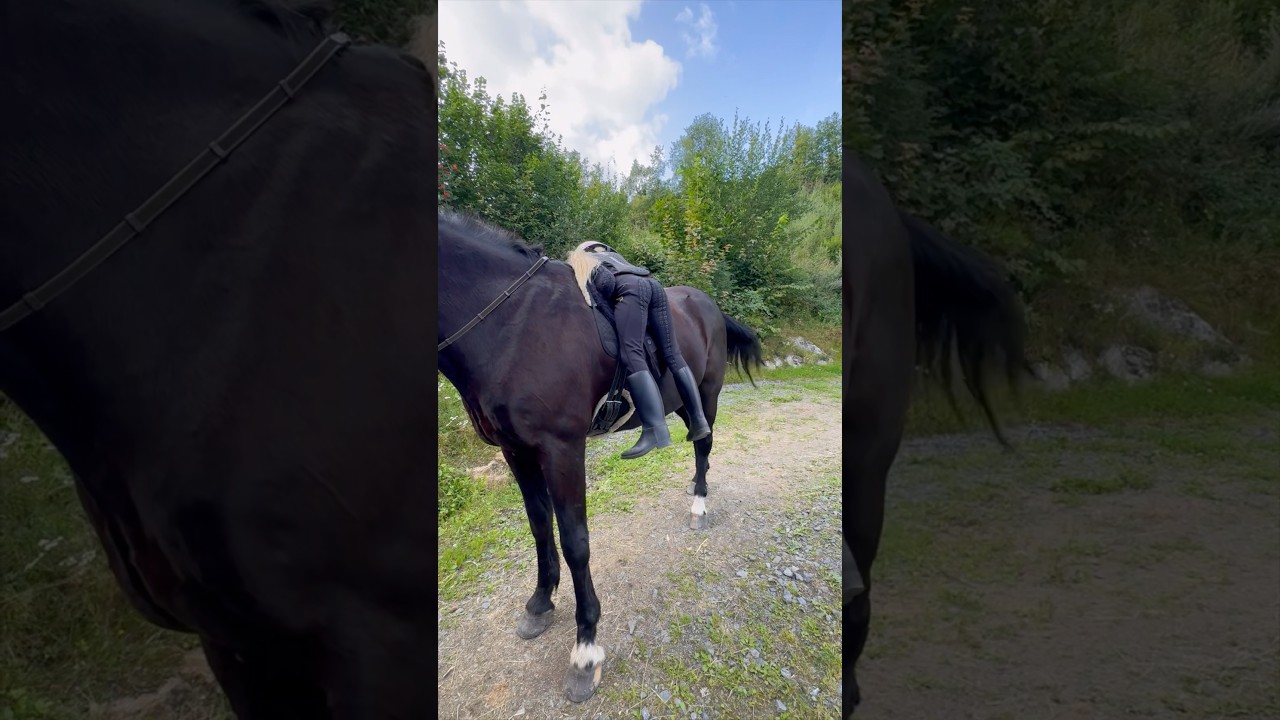 It's not easy when your horse is BIG😱 #shortsvideo #horse #equestrian