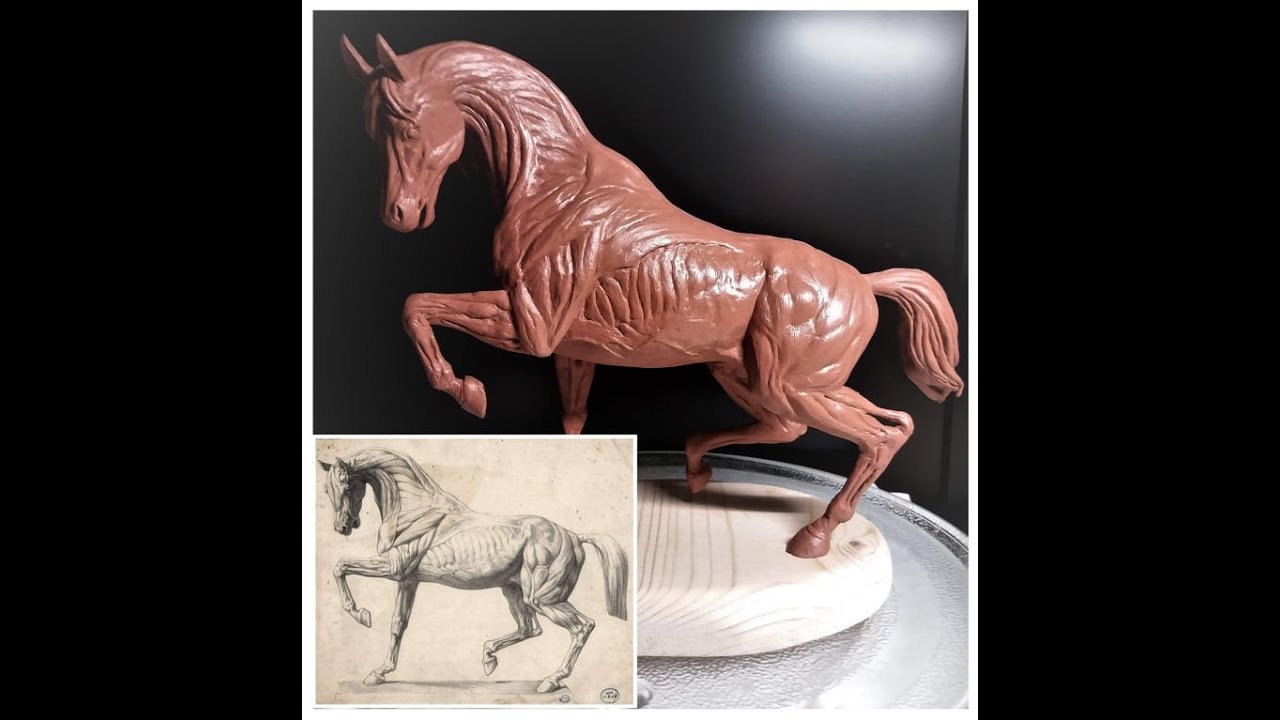 Sculpting a Horse | Equine Anatomy Sculpture From Clay | Timelapse