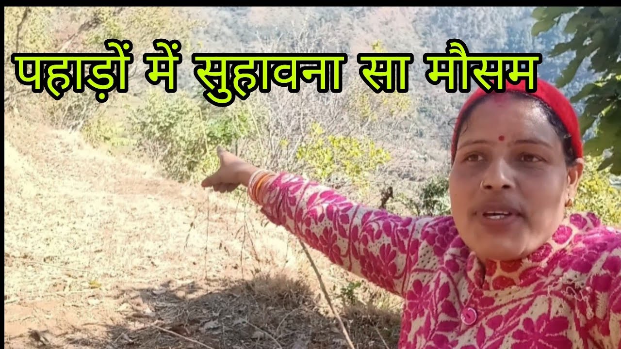 बारिश बर्फबारी की वजह से ll पहाड़ी life style ll पाली