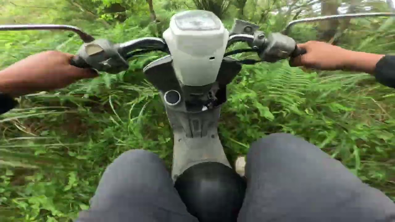 Yamaha cuxi 塑膠車 越野 off road