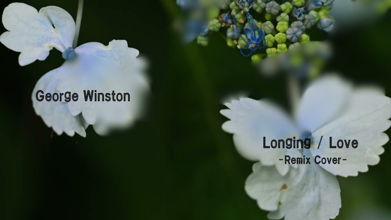 George Winston - Longing/Love - Remix Cover
