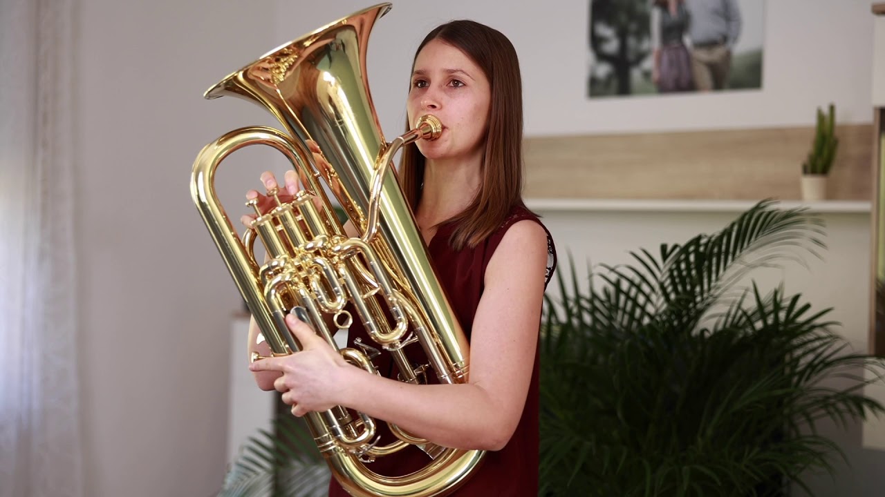 Londonderry Air / Danny Boy Euphonium: Maria Sturm, BrassTrail