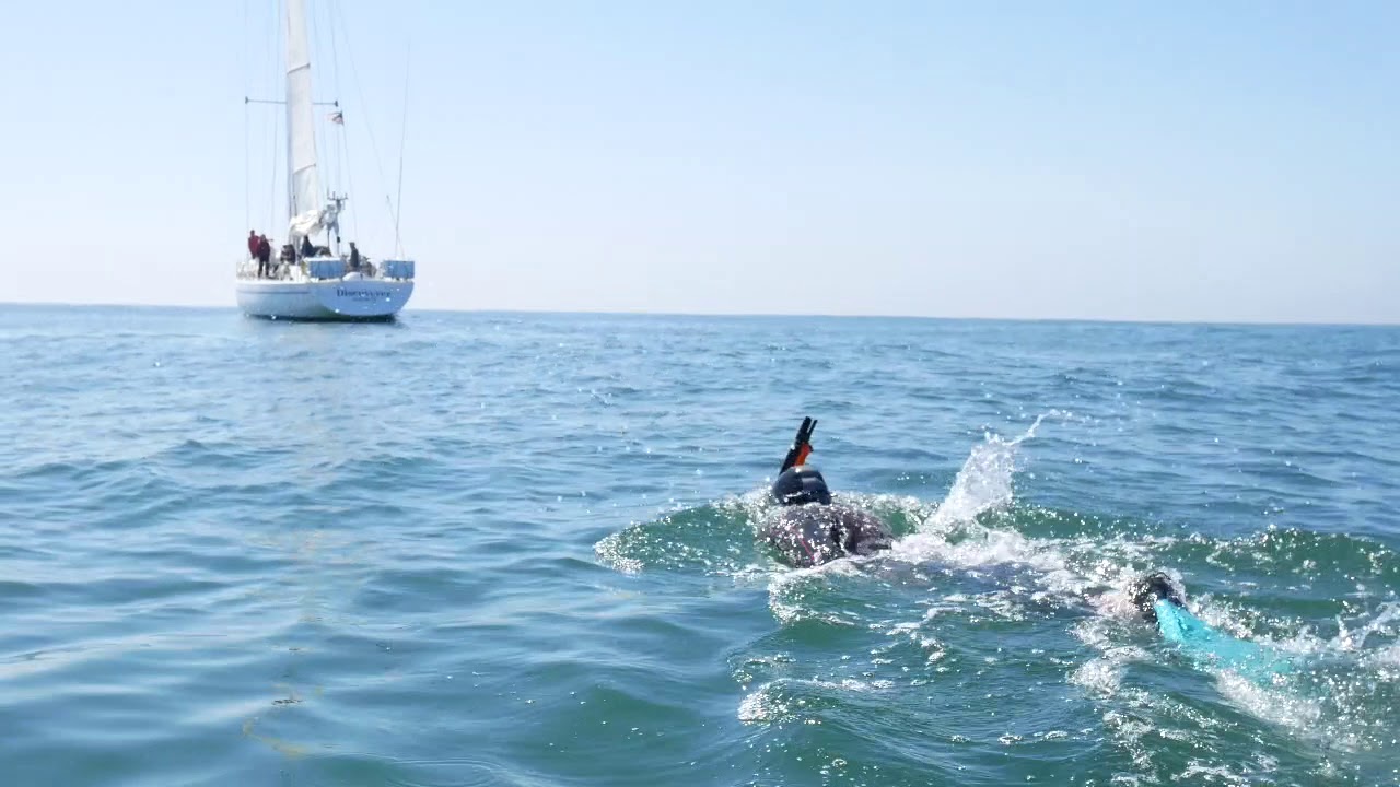 Ben Lecomte Training