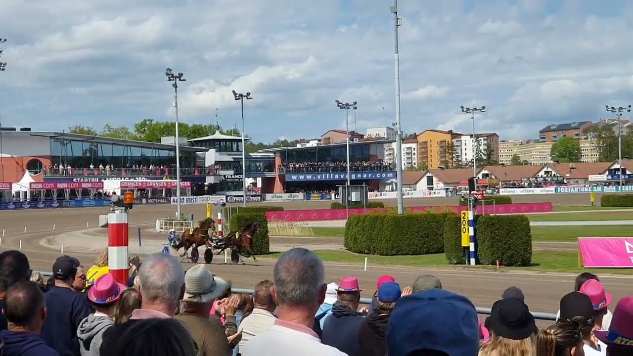 Elitloppet 2025 Solvalla Speed Race Heat 1