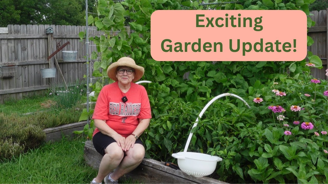 Summer Garden 2025 Update: What is that in my Garden...Again!