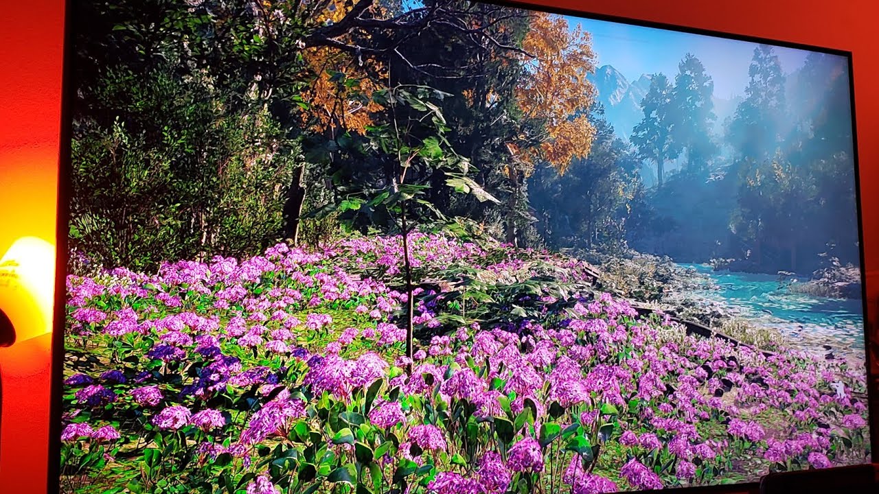 Samsung Q8FN Qled 4K TV HDR Game Mode Settings for Far Cry New Dawn Xbox One X