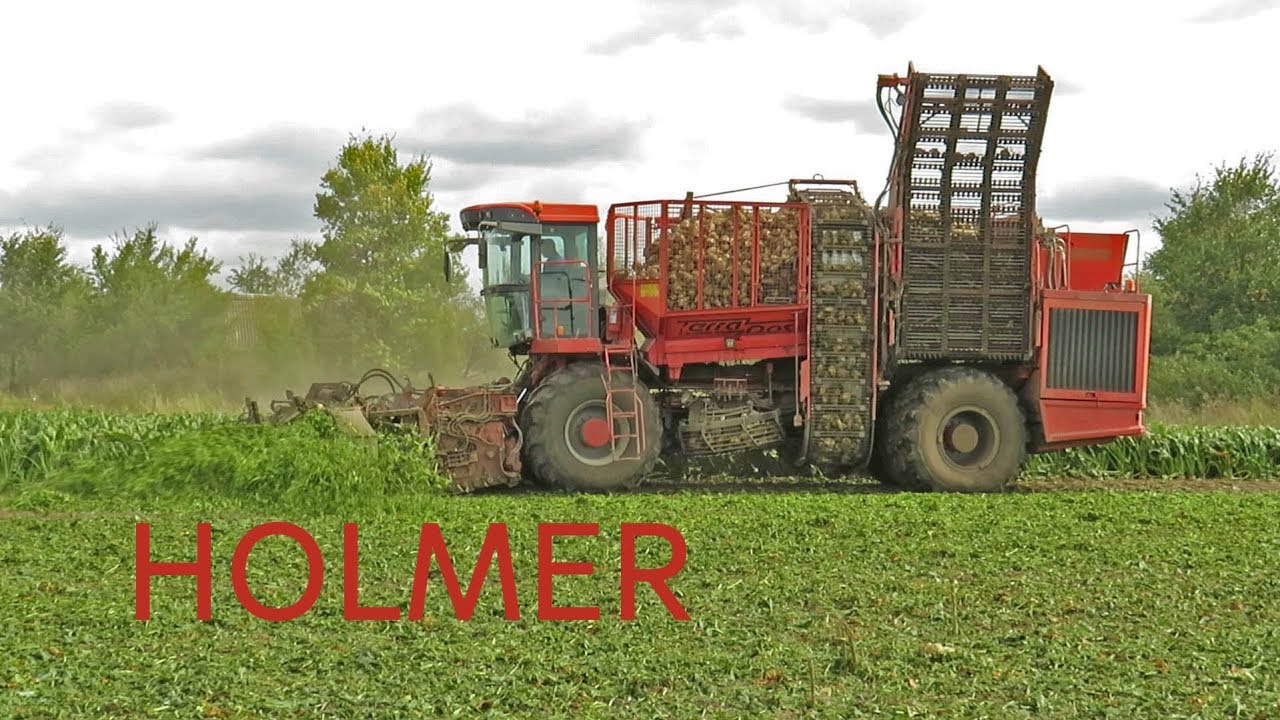 [Уборка свеклы] HOLMER Terra Dos T2