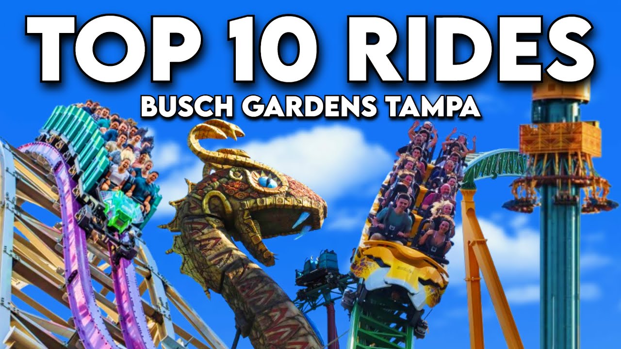 Top 10 Rides at Busch Gardens Tampa Bay (2025)