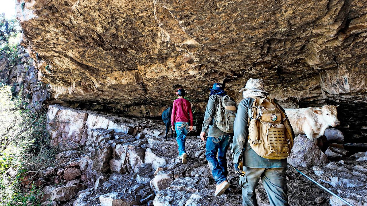 BUSCANDO la huella del TIGRE - Hasta calambres nos van a dar por arrastrarnos en la cueva
