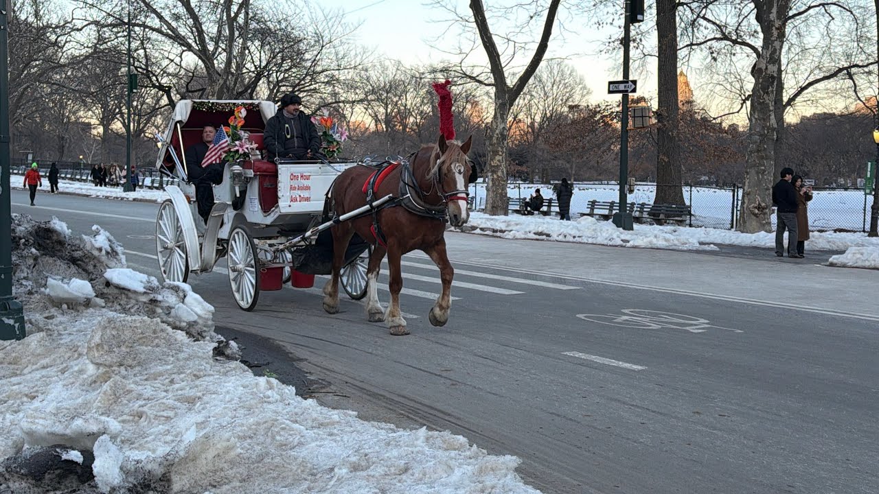 Caminando por Central Park Nueva York 