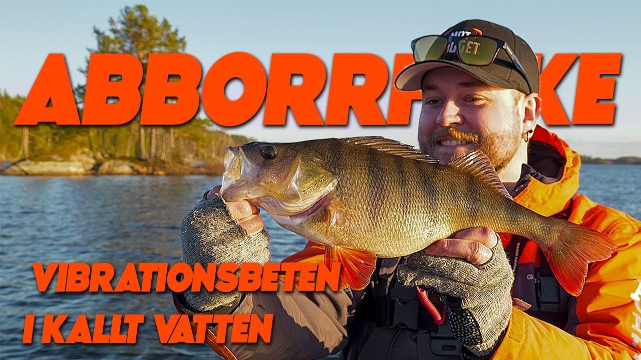 FÖRSTA ABBORRFISKET 2025! Lär dig fiska vibrationsbeten i kallt vatten - Mothugget med Alex