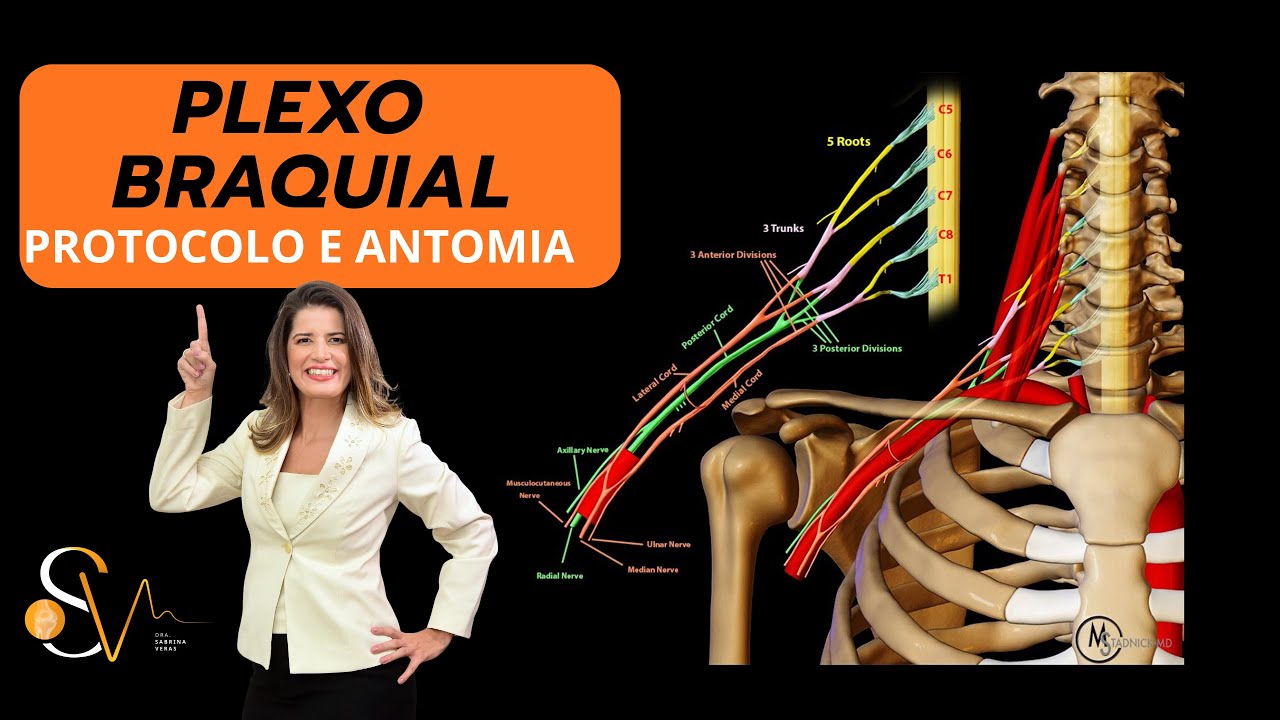 🧠 Plexo Braquial na Ressonância Magnética- Protocolo e Anatomia Explicados