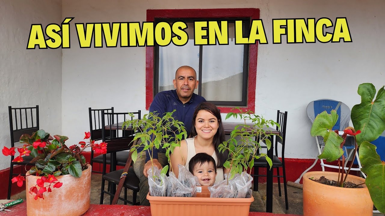 Un Día en Nuestra Finca: Vida Simple, Trabajo Real y Conexión con la Tierra