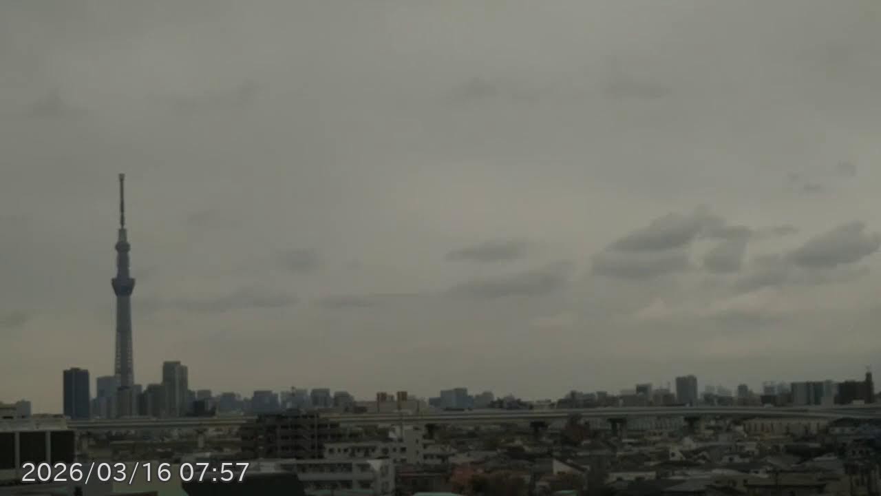スカイツリーが見えるライブカメラ