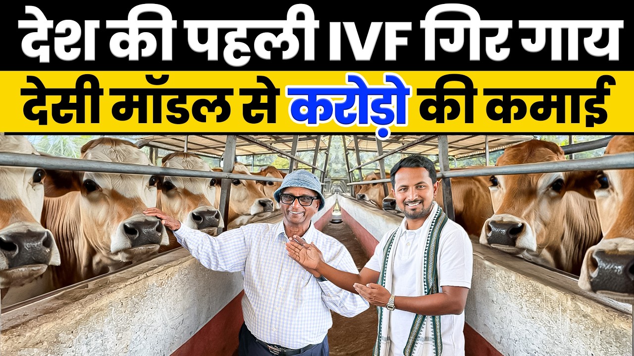 1 गाय से 100 बच्चे हर साल? जानिए IVF टेक्नोलॉजी का कमाल 🐮🤯 Bafna Dairy Farm Tour 💯💸 Indian Farmer