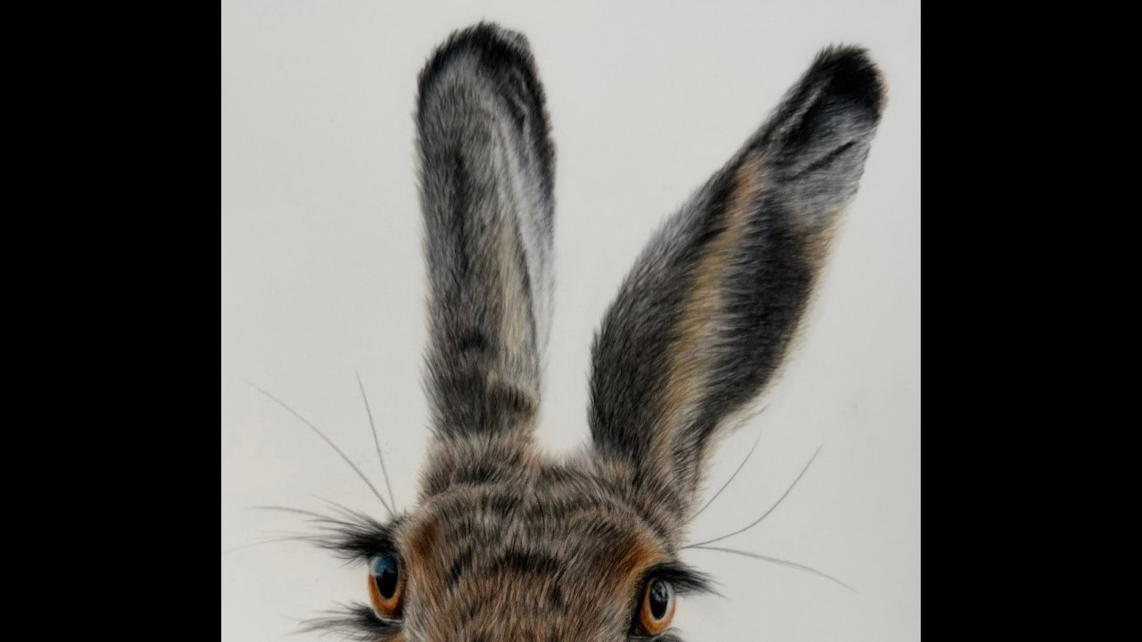 Hare fur and Ears study, Pt 1