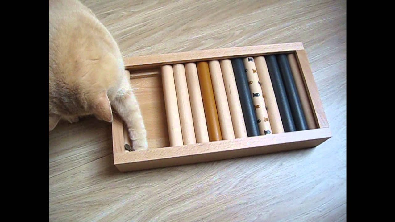 Futter Intelligenzbox für Katzen selber bauen