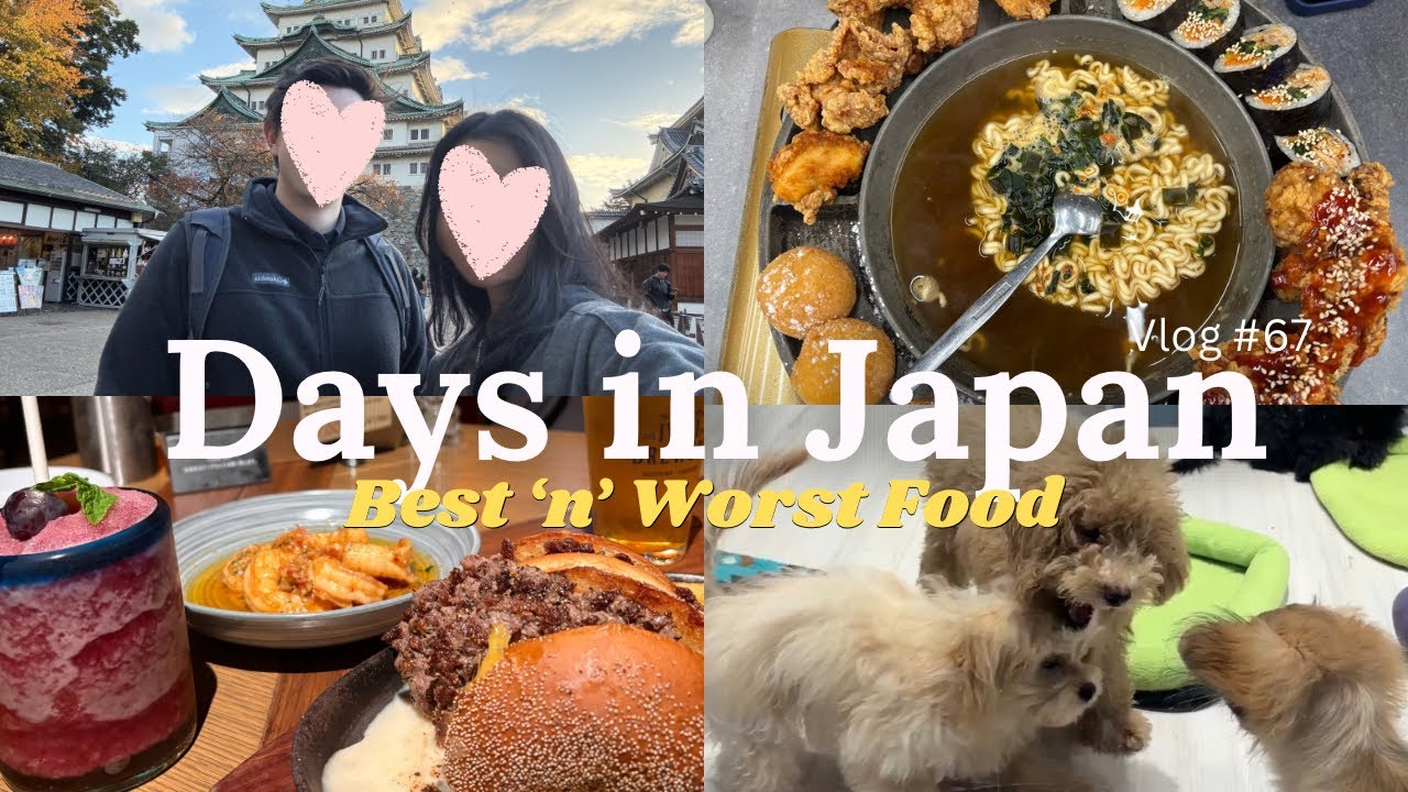 Trying Korean Food in Japan… Big Mistake?