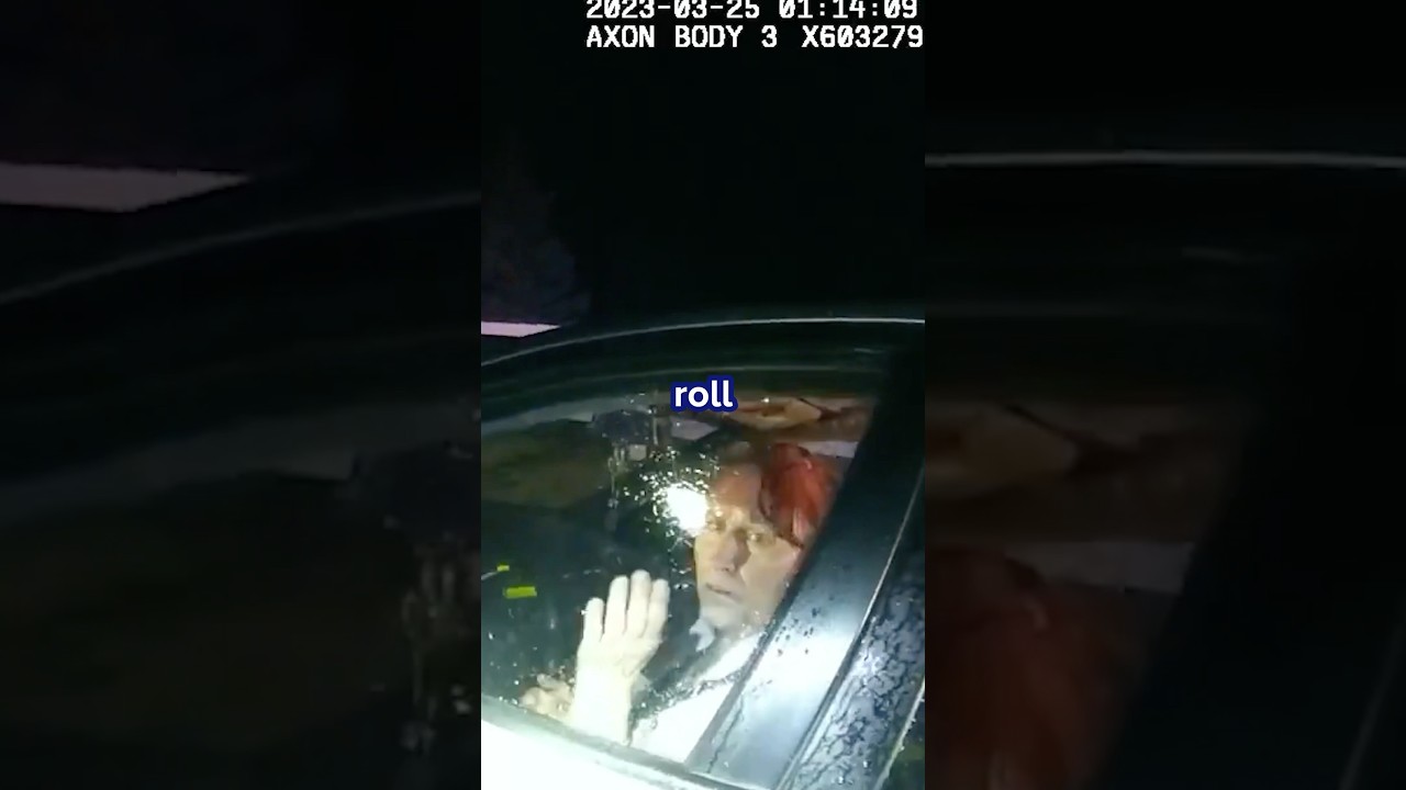 DUI Stop Turns Into Karen Meltdown