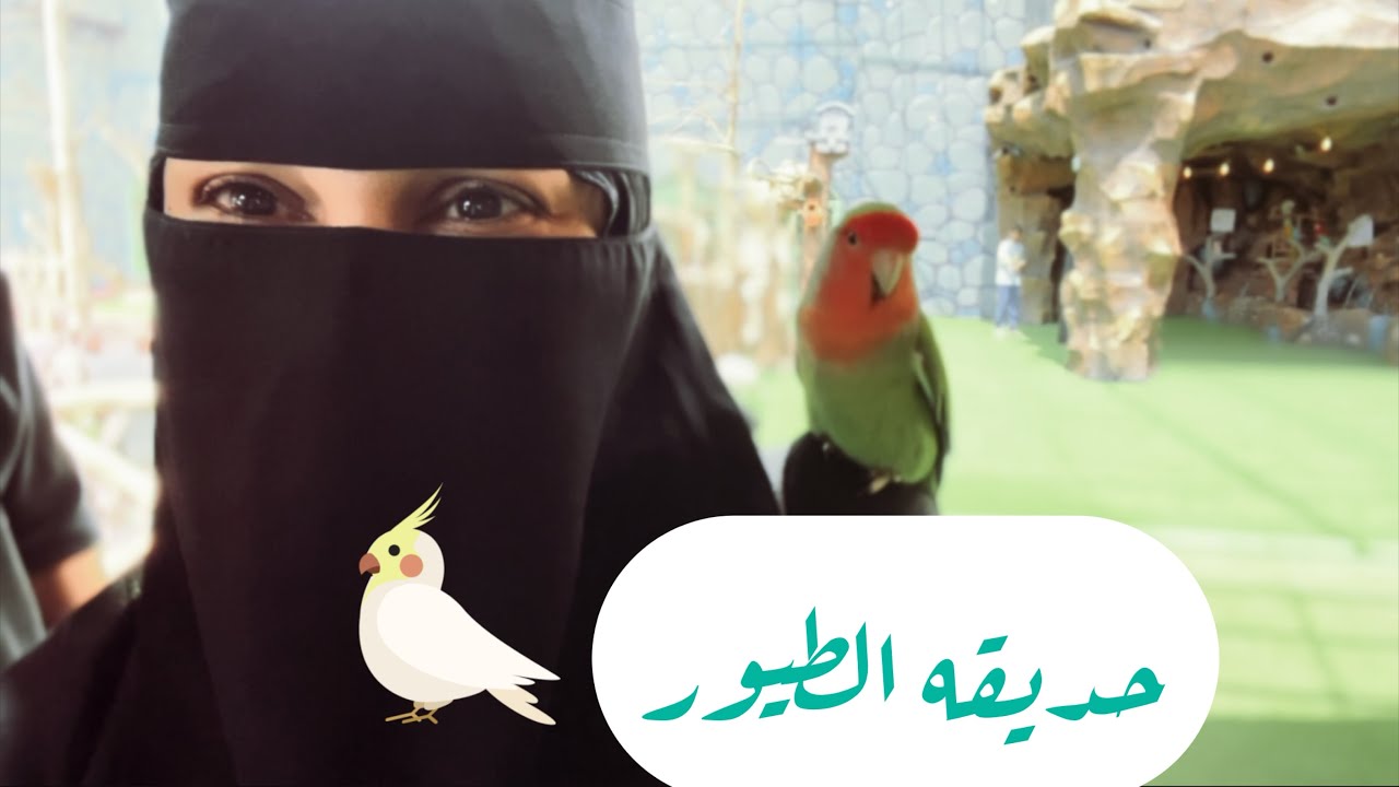 ثالث يوم ف عروس المصايف  مشاهده ممتعه🪿🐔🐓🐇