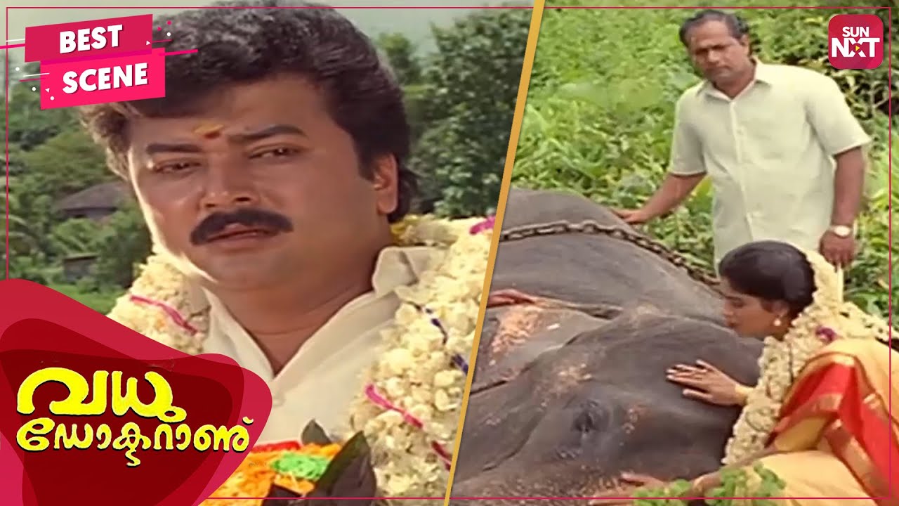 Jayaram finds out who Nadia is | Vadhu Doctoranu | Malayalam | Jayaram | Nadia | SUN NXT