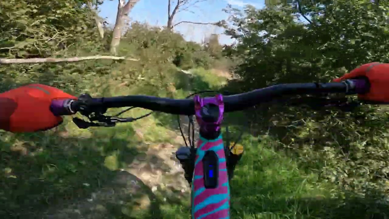 steyning mtb trails sept 2023