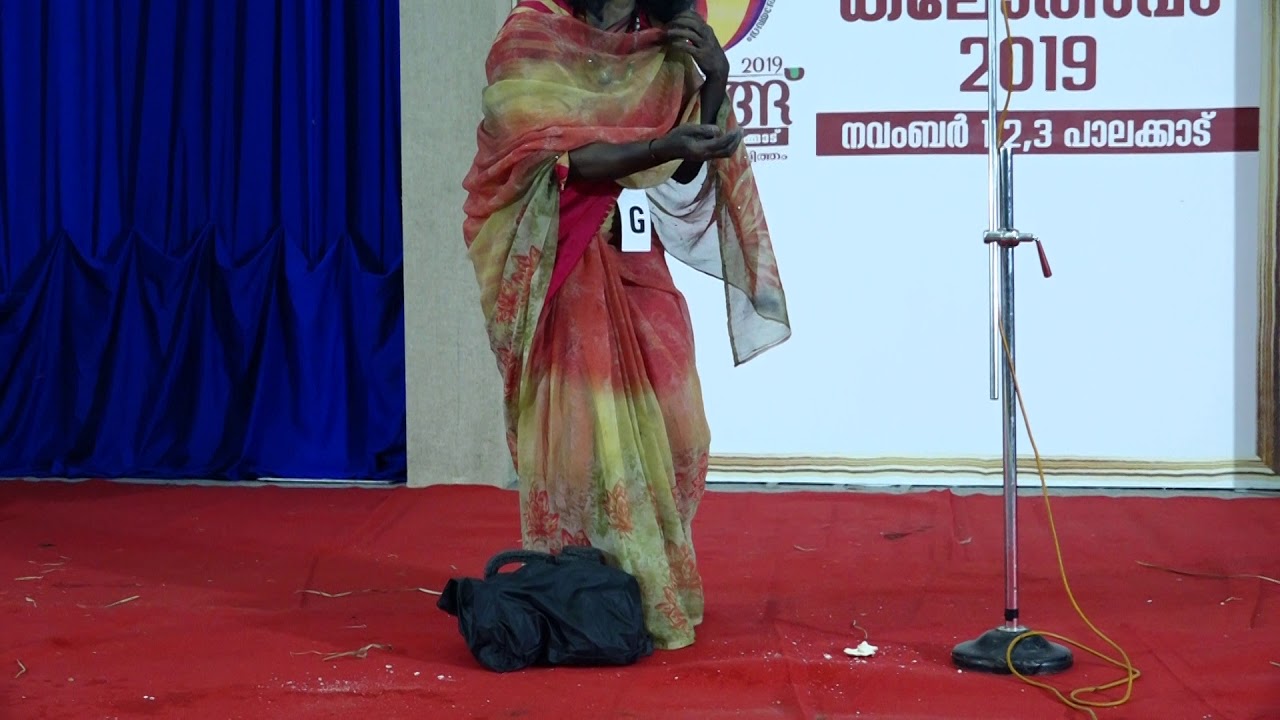 Fancy dress: 2nd Prize: Nirmala.K, Karivallur CDS, Kannur