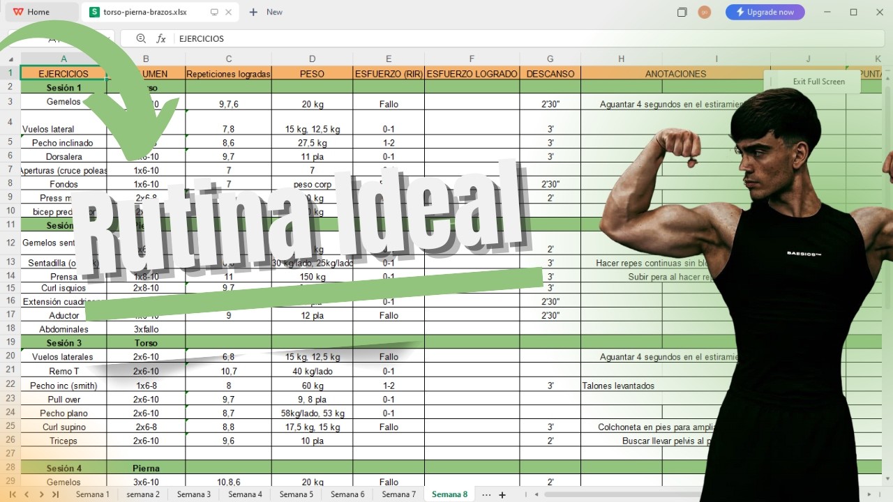 Cómo crear TU RUTINA IDEAL