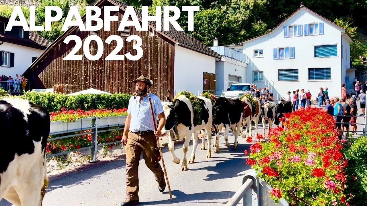 Альпабзуг - Альпабфарт 2023 MELS | Парад коров | Швейцария 4К #27
