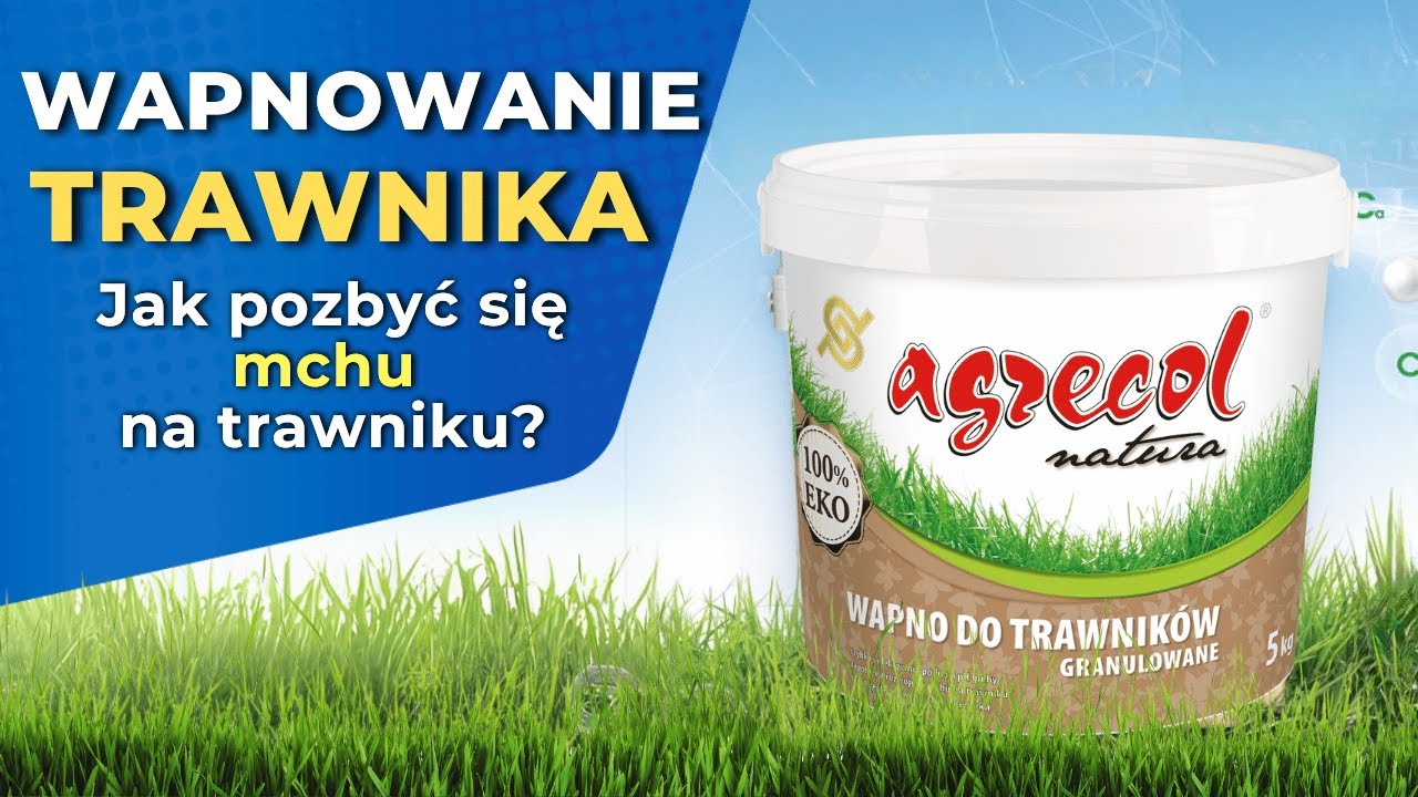 Wapnowanie trawnika - jak pozbyć się mchu na trawniku?