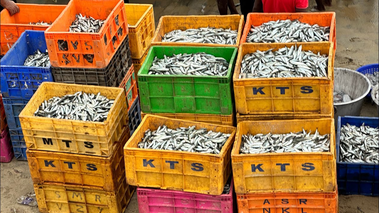 Vizhinjam fishing market