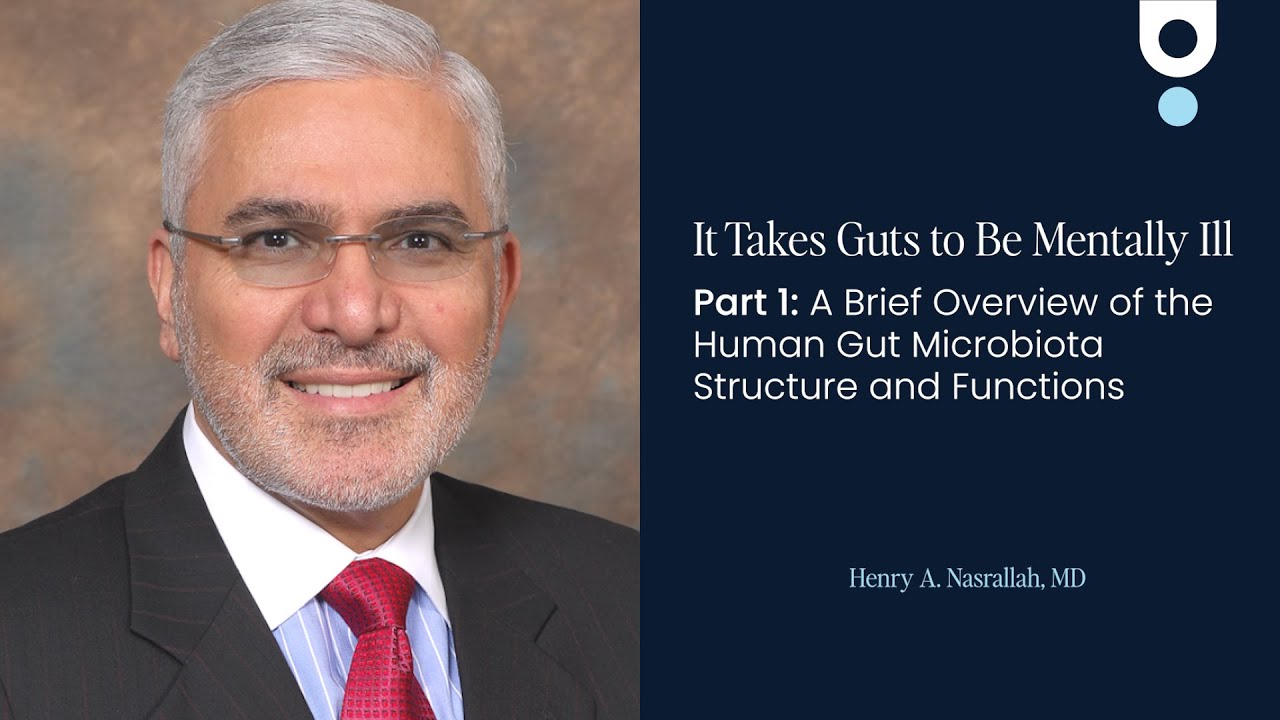 It Takes Guts to Be Mentally Ill. Part 1: A Brief Overview of the Human Gut Microbiota