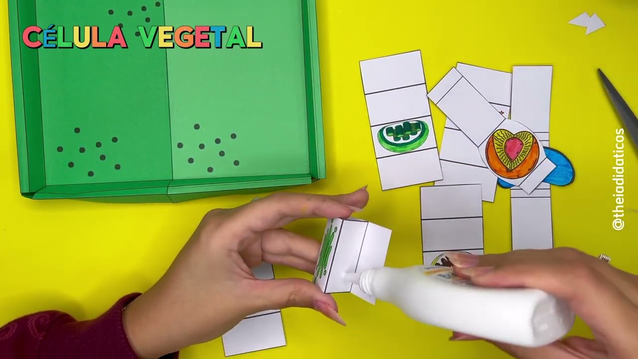 PASSO A PASSO - MODELO CÉLULA VEGETAL