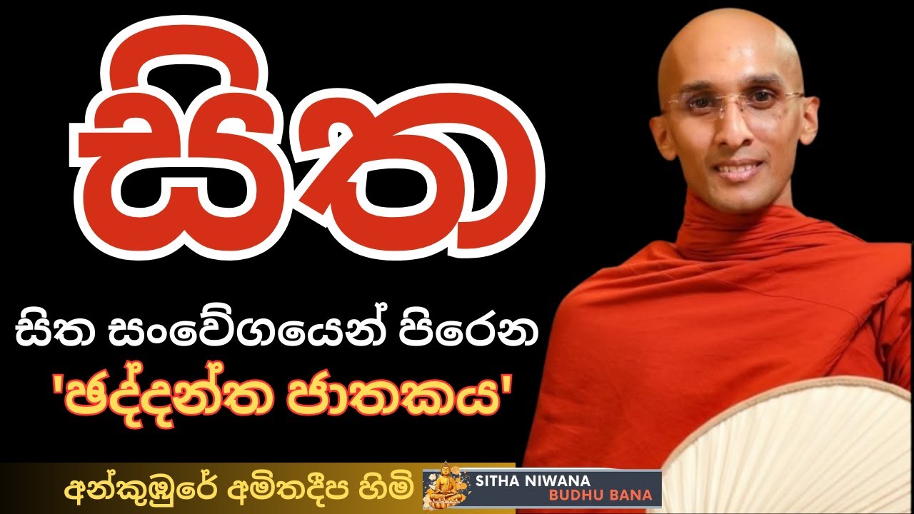 New #mahamevnawa Dharma Deshana by Ven Ankumbure Amitha Deepa Himi | ඡද්දන්ත ජාතකය