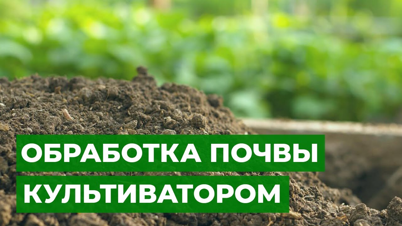 НОВЫЙ ПОМОЩНИК ДЛЯ САДОВОГО КОРОЛЕВСТВА | Обзор мотокультиватора RedVerg
