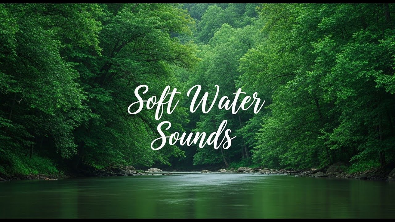 Forest River White Noise 12 Hours for Deep Sleep and Anxiety Relief 🌲
