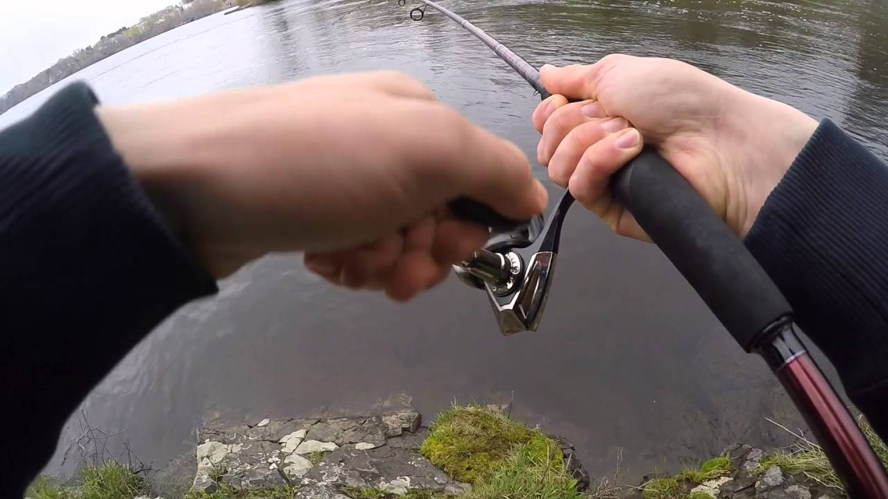 Shad Fishing in the Saco River
