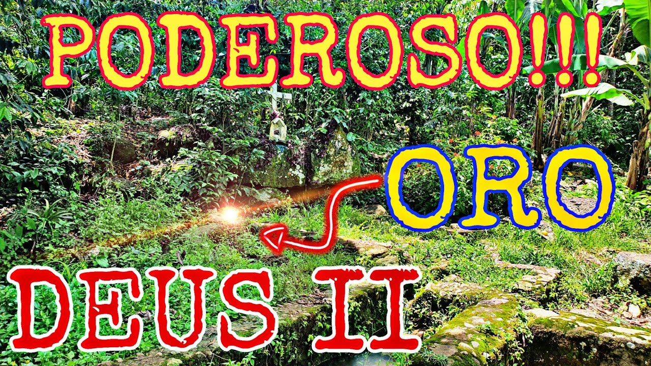 PODEROSO Detector de Metales Encuentra ORO!!! XP DEUS II