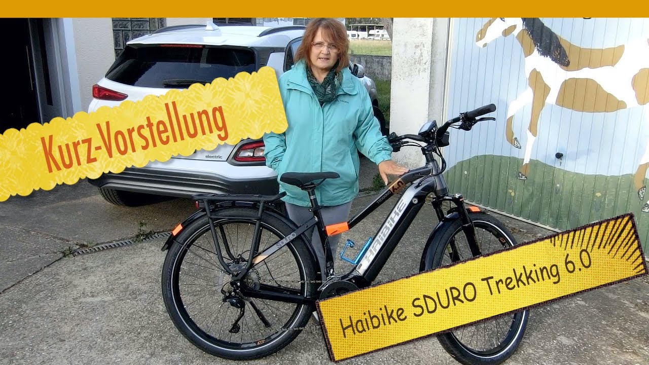 Kurzvorstellung Haibike SDURO Trekking 6.0 von 2020