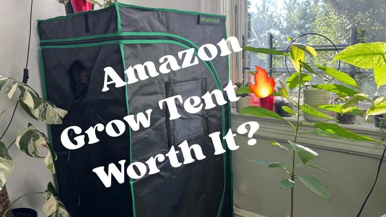 Amazon Grow Tent Setup & Review 🌱 | Best Budget Indoor Grow Upgrade 2025