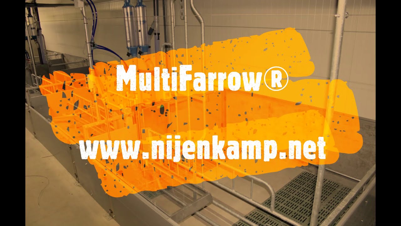 MultiFarrow Nijenkamp NL