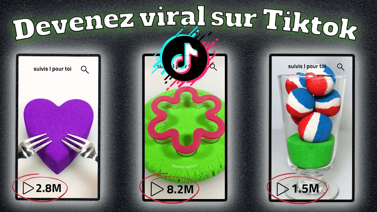 La NICHE le plus SIMPLE pour devenir VIRAL sur TikTok en 2024